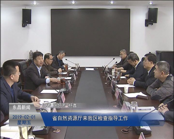 省自然資源廳來我區(qū)檢查指導工作