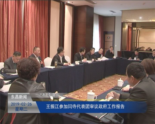 王振江參加閆寺代表團(tuán)審議政府工作報(bào)告