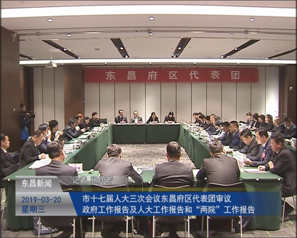 市十七屆人大三次會(huì)議東昌府區(qū)代表團(tuán)審議政府工作報(bào)告及人大工作報(bào)告和“兩院”工作報(bào)告