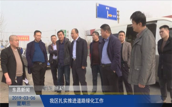 我區(qū)扎實(shí)推進(jìn)道路綠化工作