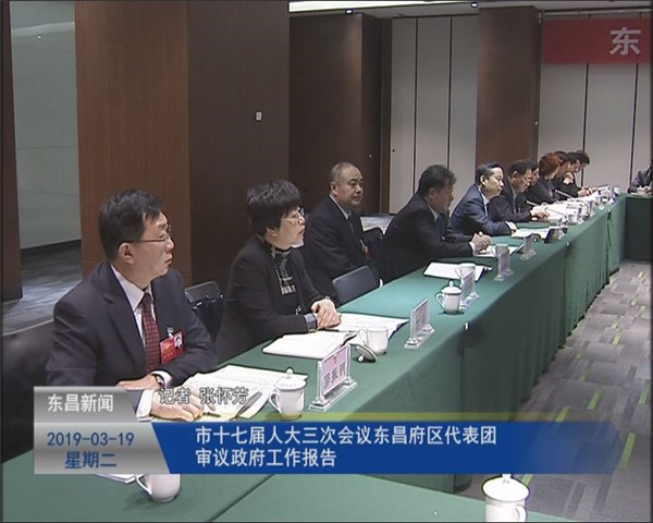 市十七屆人大三次會(huì)議東昌府區(qū)代表團(tuán)審議政府工作報(bào)告