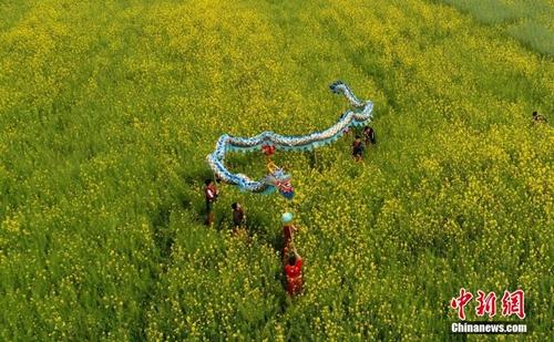 “二月二”為什么是“龍?zhí)ь^”？ 除了理發(fā)還有這些
