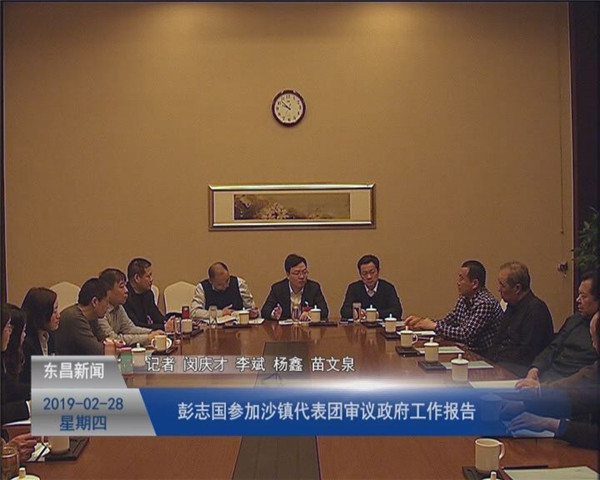 彭志國(guó)參加沙鎮(zhèn)代表團(tuán)審議政府工作報(bào)告