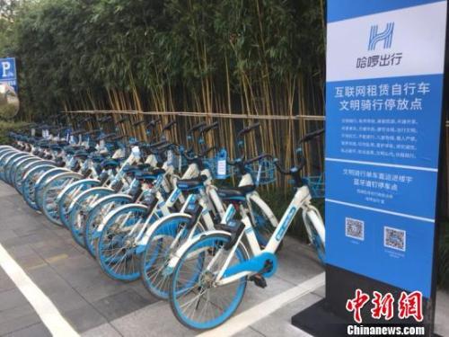 哈啰單車停放點(diǎn)。應(yīng)新睿 攝