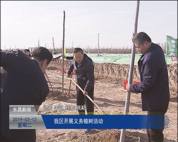 我區(qū)開展義務植樹活動