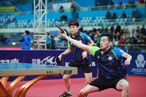 瘋狂4連勝！樊振東丁寧4-0橫掃晉級(jí)16強(qiáng) 頭號(hào)種子倒下