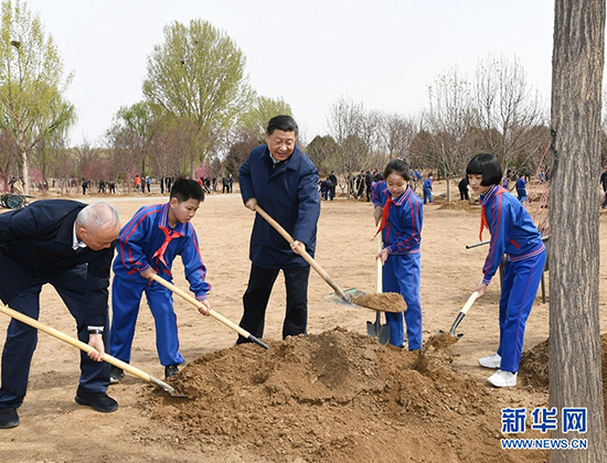 習(xí)近平：推動(dòng)國土綠化不斷取得實(shí)實(shí)在在的成效