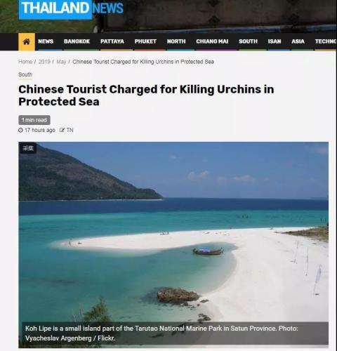 中國游客在泰國“殺死”海膽被訴？真相是……