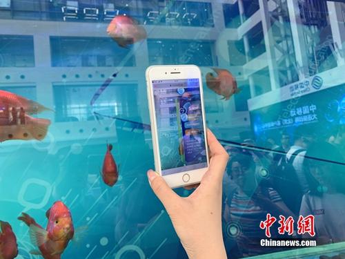 5G智慧魚缸。<a target='_blank'  >中新網(wǎng)</a> 吳濤 攝