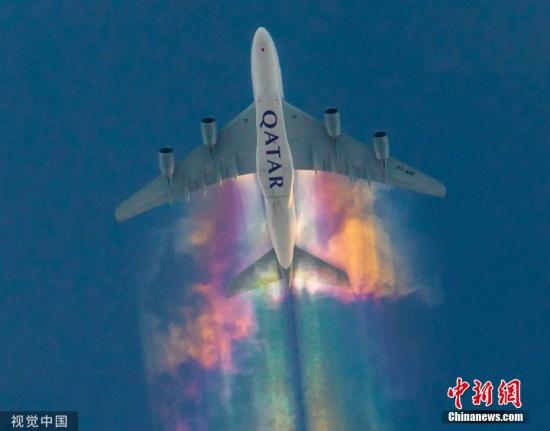 法媒：特朗普與馬克龍合栽的“友誼之樹”已死亡