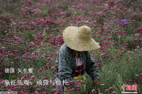 點擊進入下一頁