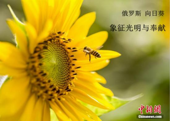 點擊進入下一頁