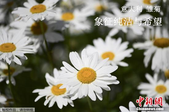點擊進入下一頁