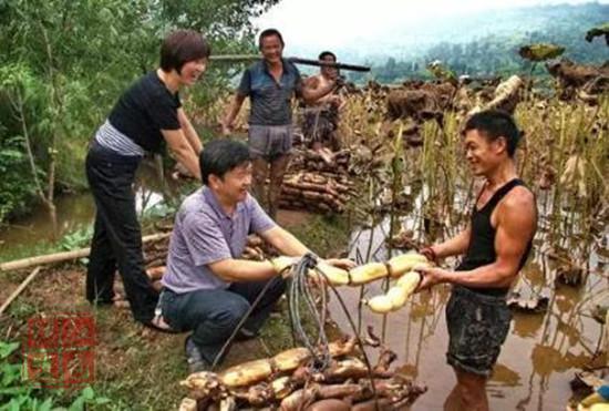 讓農(nóng)民過上城里人羨慕的生活