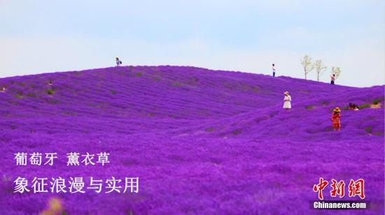 點擊進入下一頁