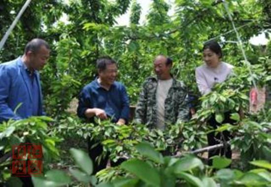 建在地頭的現(xiàn)代農(nóng)業(yè)技術(shù)服務(wù)中心