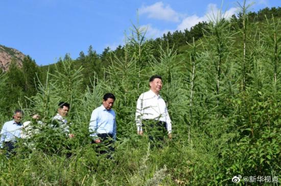 習(xí)近平深入喀喇沁旗林場(chǎng)農(nóng)村考察調(diào)研