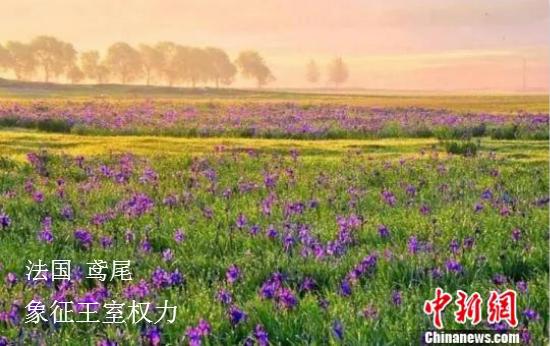 點擊進入下一頁