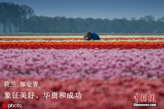 點擊進入下一頁