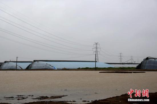 “利奇馬”繼續(xù)影響環(huán)渤海及東北 南方大部高溫