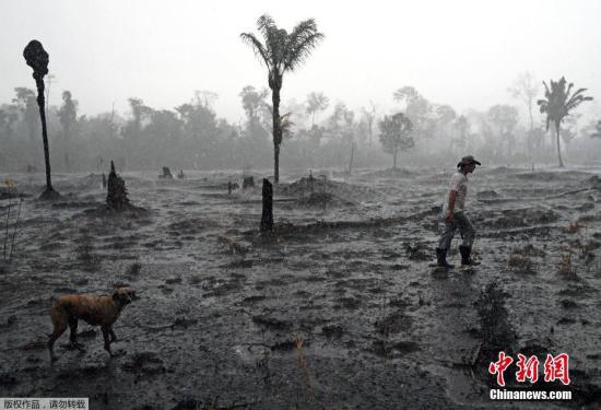 亞馬孫雨林大火：巴西將接受金援 多國吁共商對策