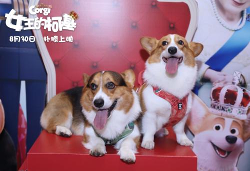 點(diǎn)擊進(jìn)入下一頁