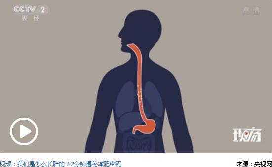 何時(shí)鍛煉效果好？研究：晨練有助減重晚練更有效率