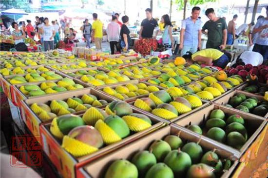 煙臺：繼續(xù)領跑，打造農(nóng)業(yè)產(chǎn)業(yè)化強市煙臺：繼續(xù)領跑，打造農(nóng)業(yè)產(chǎn)業(yè)化強市
