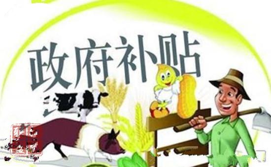 鼓勵養(yǎng)豬保障供應中央財政補助獎勵政策再加碼