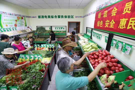 “菜籃子”貨足價穩(wěn) 下半年預(yù)計回落至常年水平