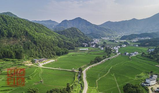 “爭相跳農(nóng)門”為何變成“我要回農(nóng)村”