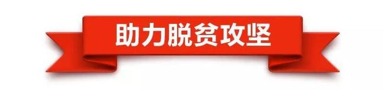 點(diǎn)擊進(jìn)入下一頁