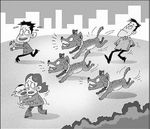 遛狗不牽繩、吠叫驚嚇?biāo)恕?愛犬“惹禍”誰擔(dān)責(zé)
