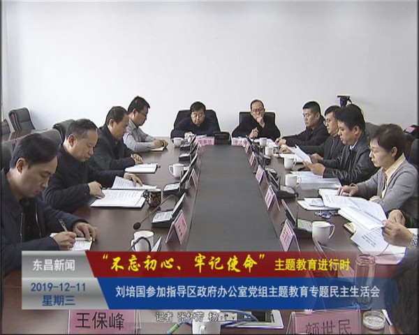 劉培國參加指導區(qū)政府辦公室黨組主題教育專題民主生活會