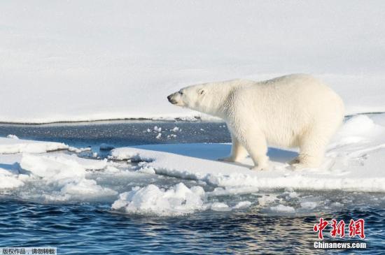 世界氣象組織：2010-2019年是有記錄以來(lái)最熱十年