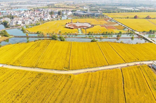 農(nóng)業(yè)農(nóng)村部加強(qiáng)轉(zhuǎn)基因生物監(jiān)管 嚴(yán)防非法生產(chǎn)經(jīng)營(yíng)