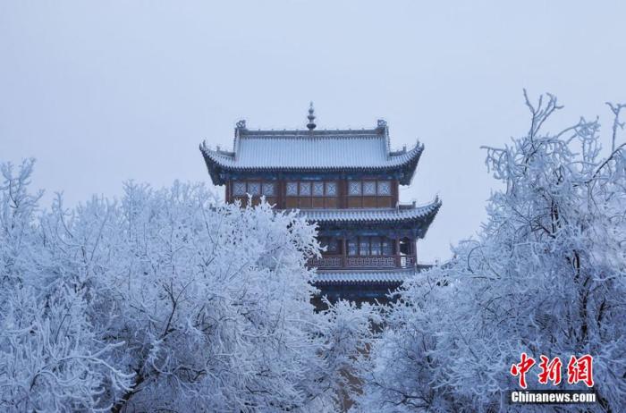羊肉湯、糯米飯……你偏愛哪種小寒節(jié)氣美食？
