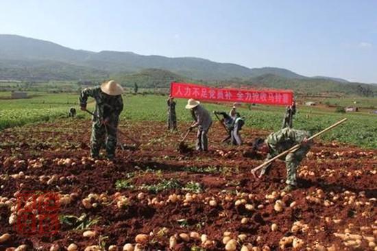 2019年全國(guó)預(yù)計(jì)完成8000萬(wàn)畝高標(biāo)準(zhǔn)農(nóng)田建設(shè)任務(wù) 畝均增產(chǎn)200斤 增收500元
