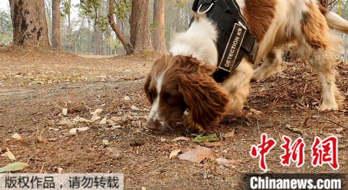點擊進入下一頁