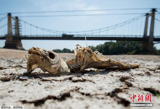 敲響地球警鐘！未來十年或連續(xù)打破史上最熱排行榜