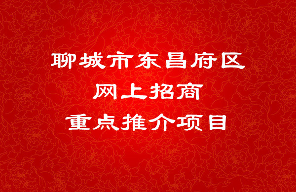 聊城市東昌府區(qū)網(wǎng)上招商重點推介項目