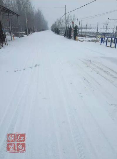 【張爐集戰(zhàn)“疫”一線】風(fēng)雪中的堅(jiān)守