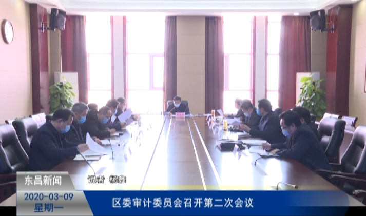 區(qū)委審計委員會召開第二次會議