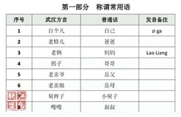新華社：“齊”心“魯”力 “武漢話手冊(cè)”誕生背后 五代人懸壺濟(jì)世傳承使命