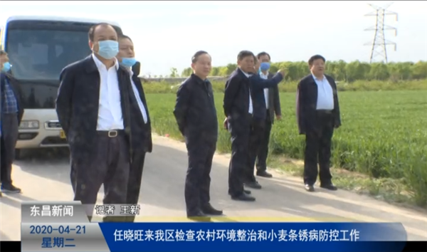 任曉旺來我區(qū)檢查農(nóng)村環(huán)境整治和小麥條銹病防控工作