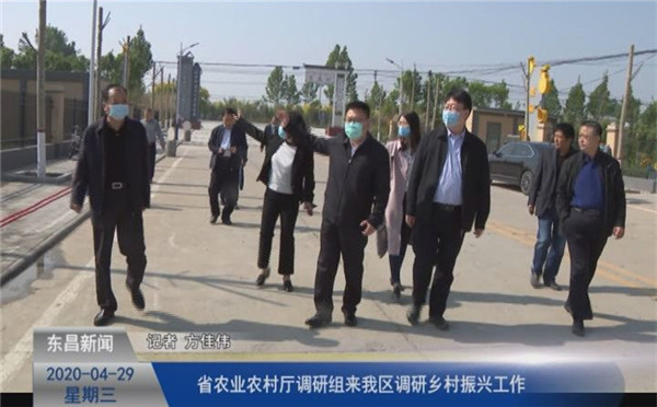 省農(nóng)業(yè)農(nóng)村廳調(diào)研組來我區(qū)調(diào)研鄉(xiāng)村振興工作