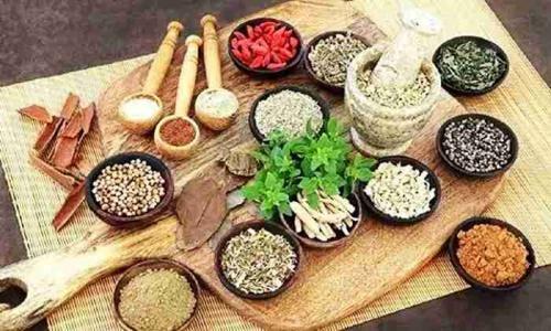 讓中醫(yī)藥為維護(hù)人類健康發(fā)揮更大作用