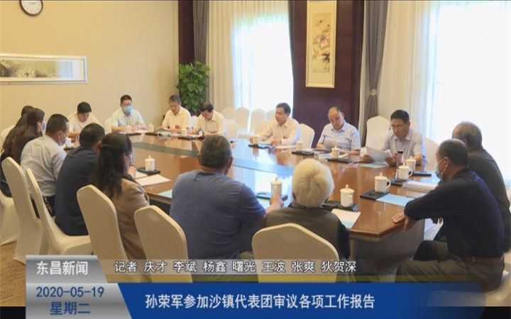 孫榮軍參加沙鎮(zhèn)代表團(tuán)審議各項(xiàng)工作報(bào)告