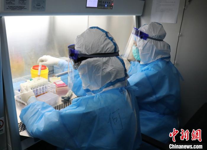 圖為2位核酸檢測員在生物安全柜內進行核酸提取 代雨朦 攝