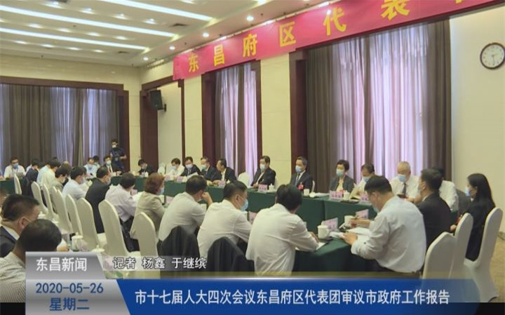 市十七屆人大四次會議東昌府區(qū)代表團(tuán)審議市政府工作報(bào)告